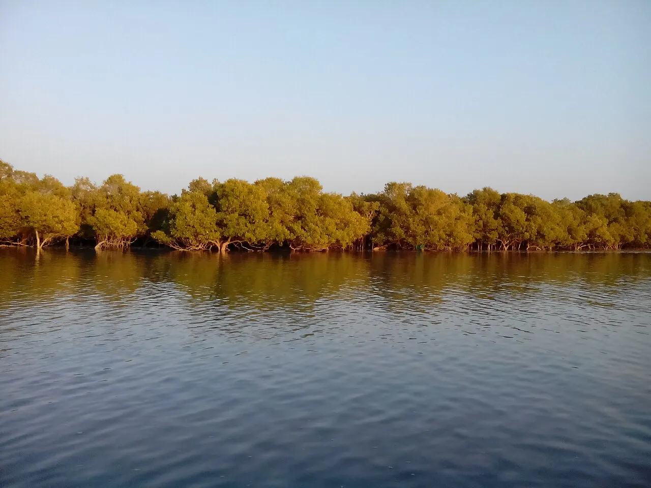 Marine National Park, Jamnagar, Gujarat, India