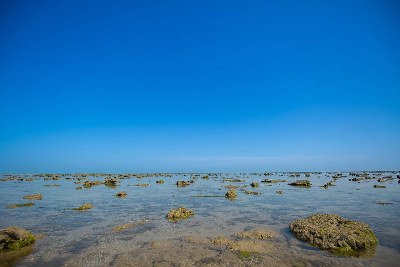 Narara Island, Jamnagar, Gujarat, India
