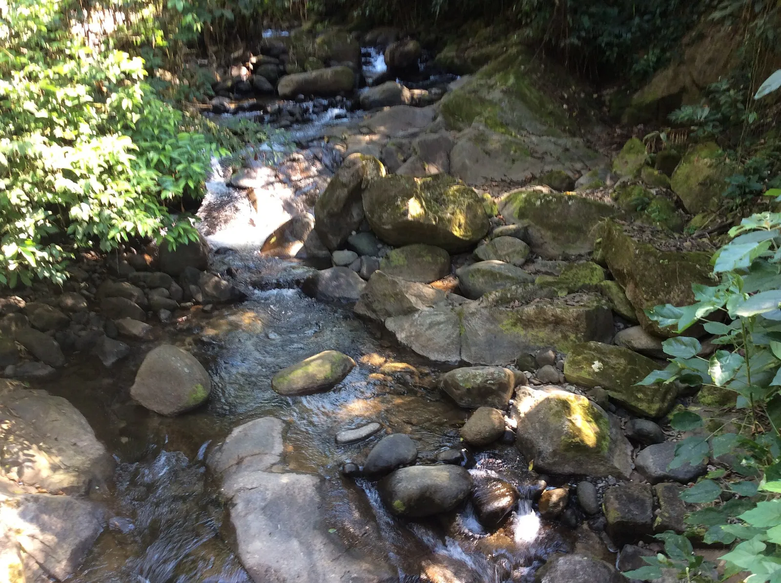 Finca Argovia, Tapachula, Chiapas, Mexico