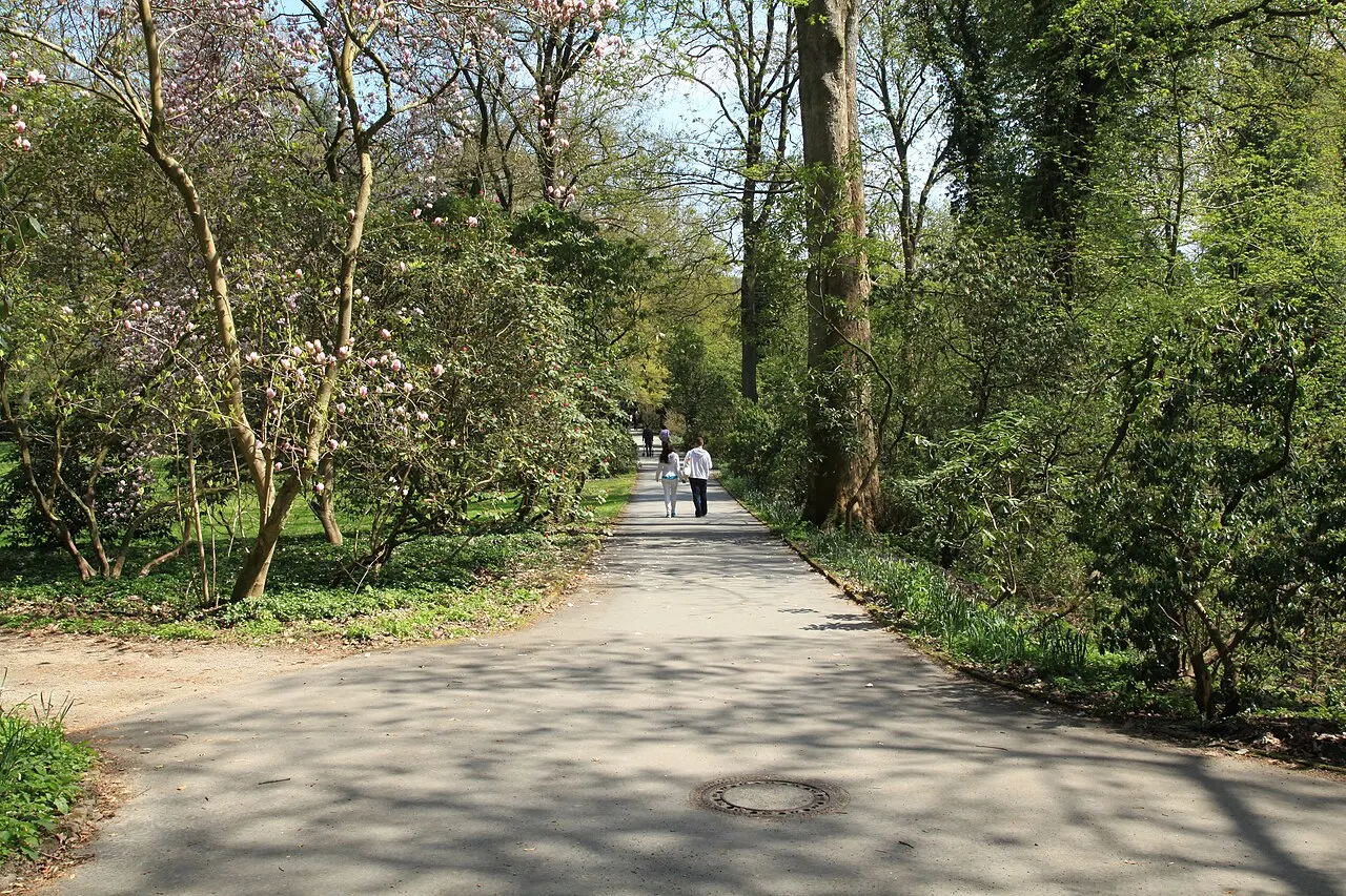 Rombergpark, Dortmund, North Rhine-Westphalia, Germany