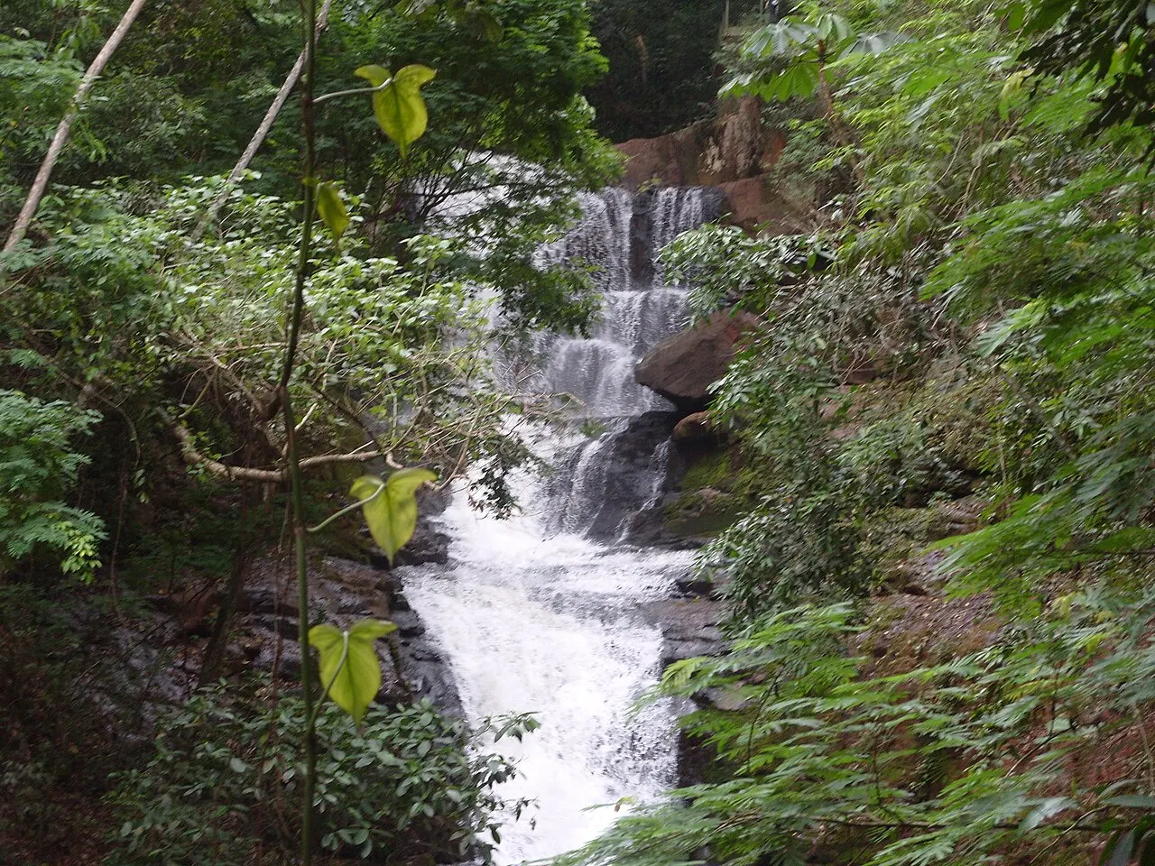 Parque Arthur Thomas, Londrina, Paraná, Brazil