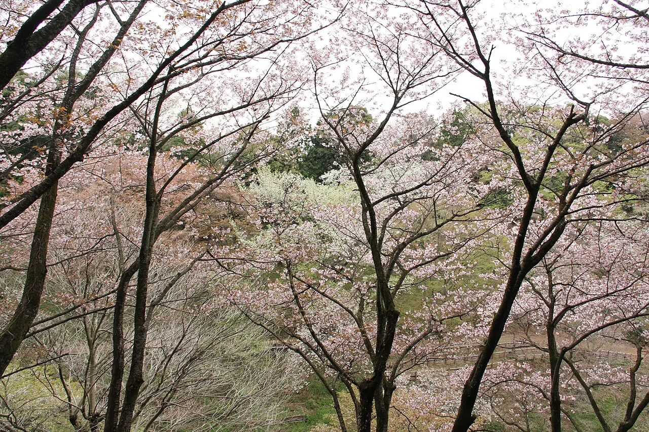 Tama Forest Science Garden, Hachiōji, Tokyo, Japan