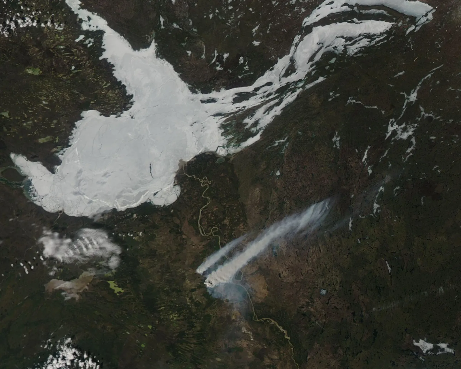 Peace-Athabasca Delta, Wood Buffalo National Park, Alberta, Canada