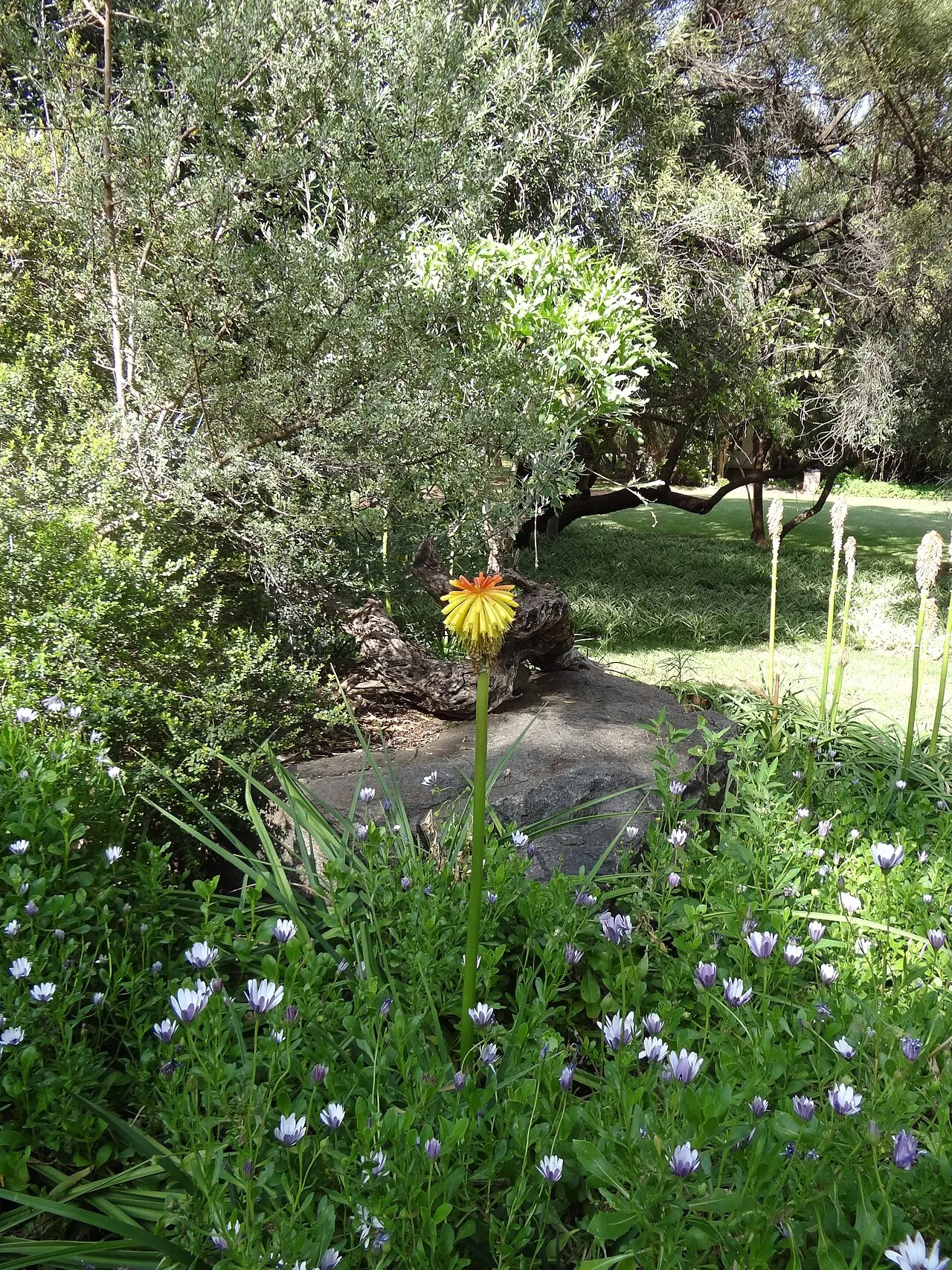 Free State National Botanical Garden, Bloemfontein, Free State, South Africa