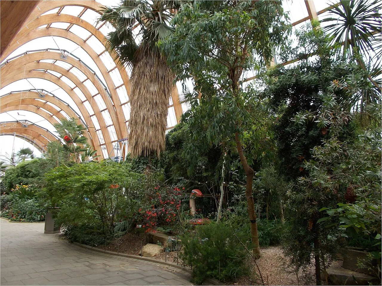 Sheffield Winter Garden, Sheffield, England, United Kingdom