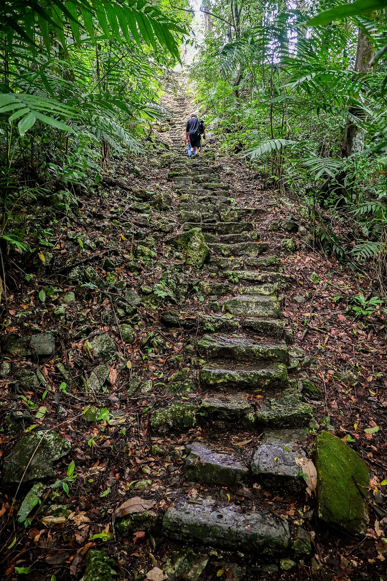 Small Acropolis of Yaxchilán, Yaxchilán, Chiapas, Mexico