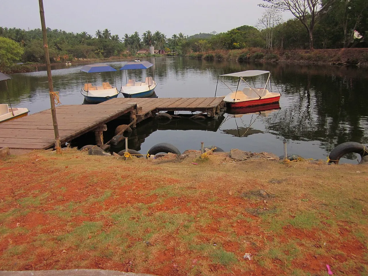 Sarovaram Bio Park, Kozhikode, Kerala, India