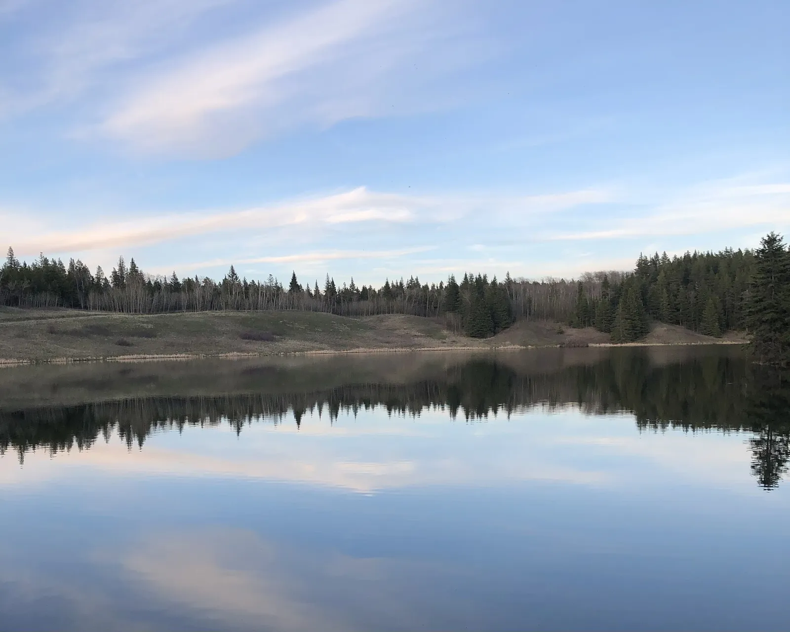 Head of the Mountain Viewpoint, Cypress Hills Interprovincial Park, Saskatchewan, Canada