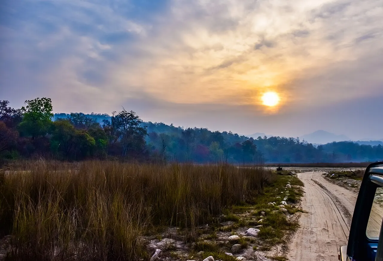 Rajaji National Park, Dehradun, Uttarakhand, India