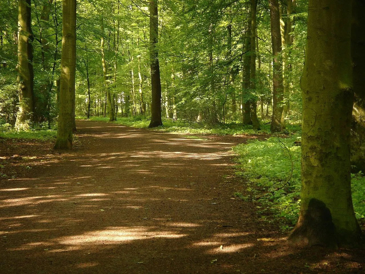 Eilenriede, Hannover, Lower Saxony, Germany