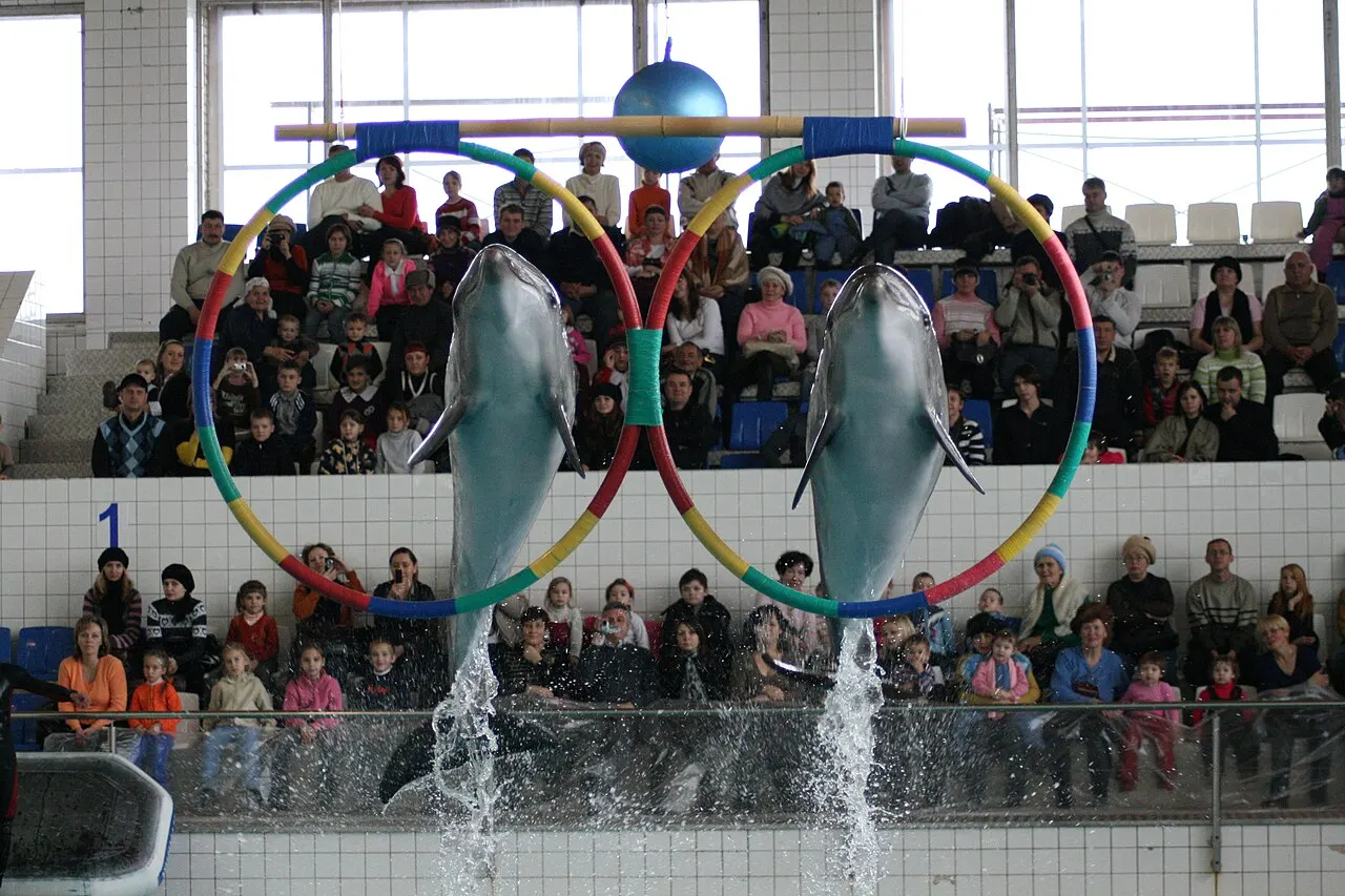 Naberezhnye Chelny Dolphinarium, Naberezhnye Chelny, Republic of Tatarstan, Russia