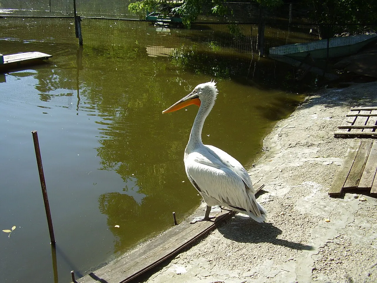 Lipetsk Zoo, Lipetsk, Lipetsk Oblast, Russia
