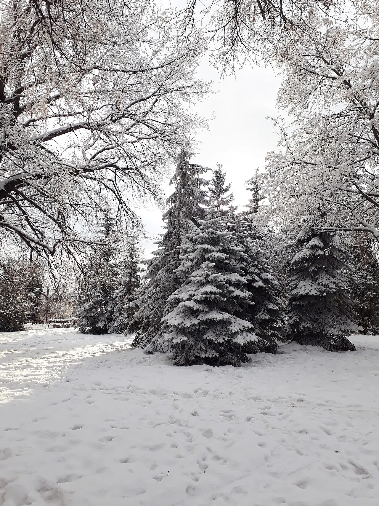 Upper Park, Lipetsk, Lipetsk Oblast, Russia