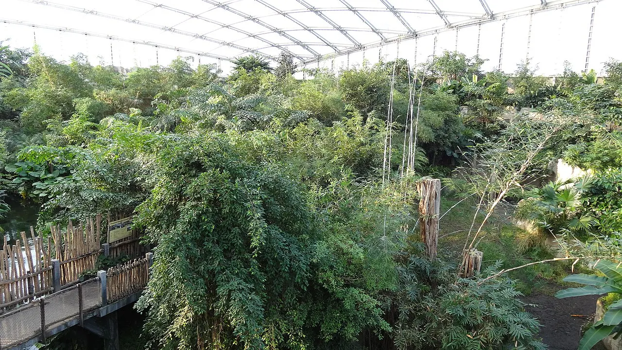 Leipzig Zoo, Leipzig, Saxony, Germany
