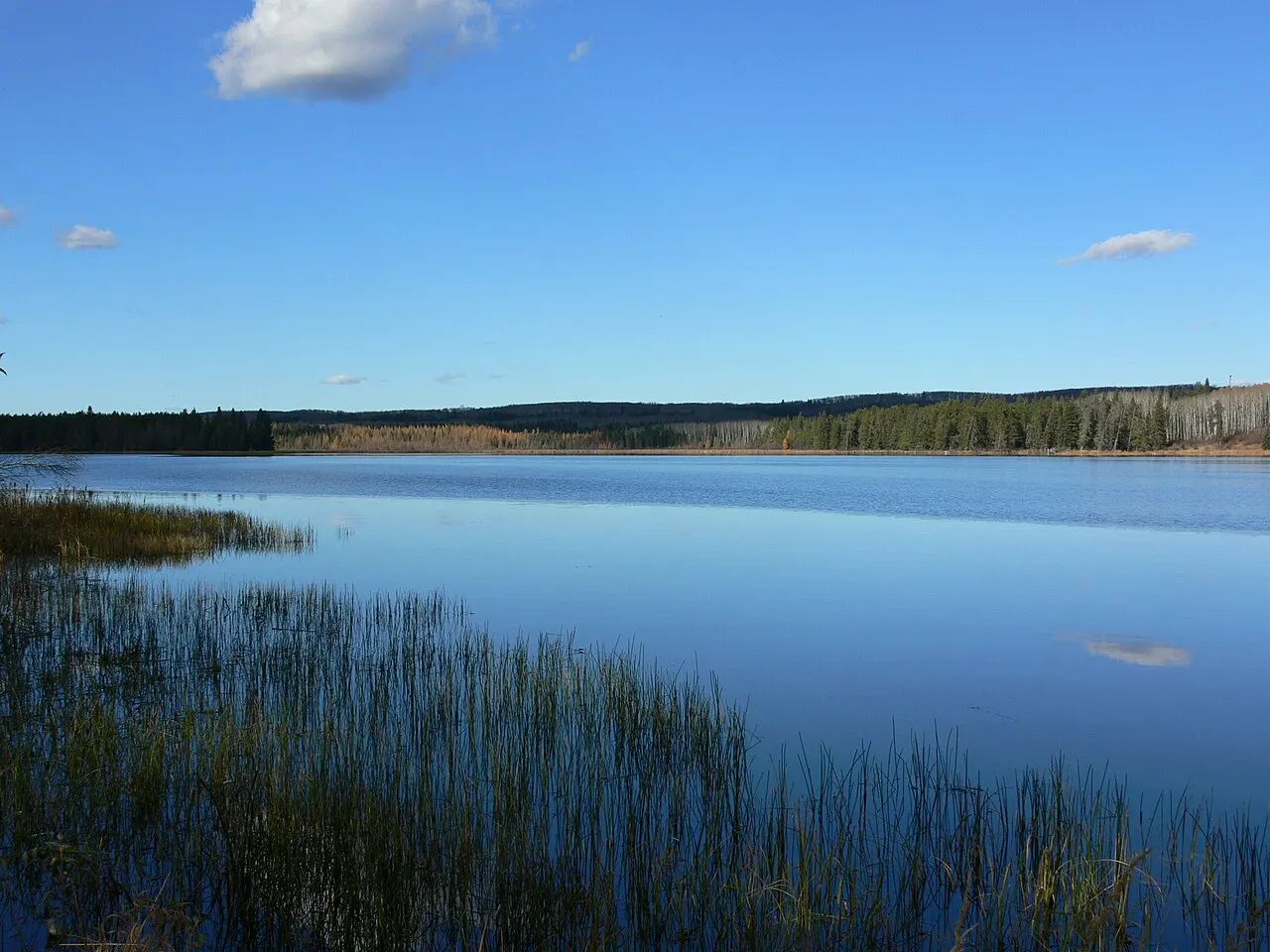 Spruce River Highlands Trail, Prince Albert National Park, Saskatchewan, Canada