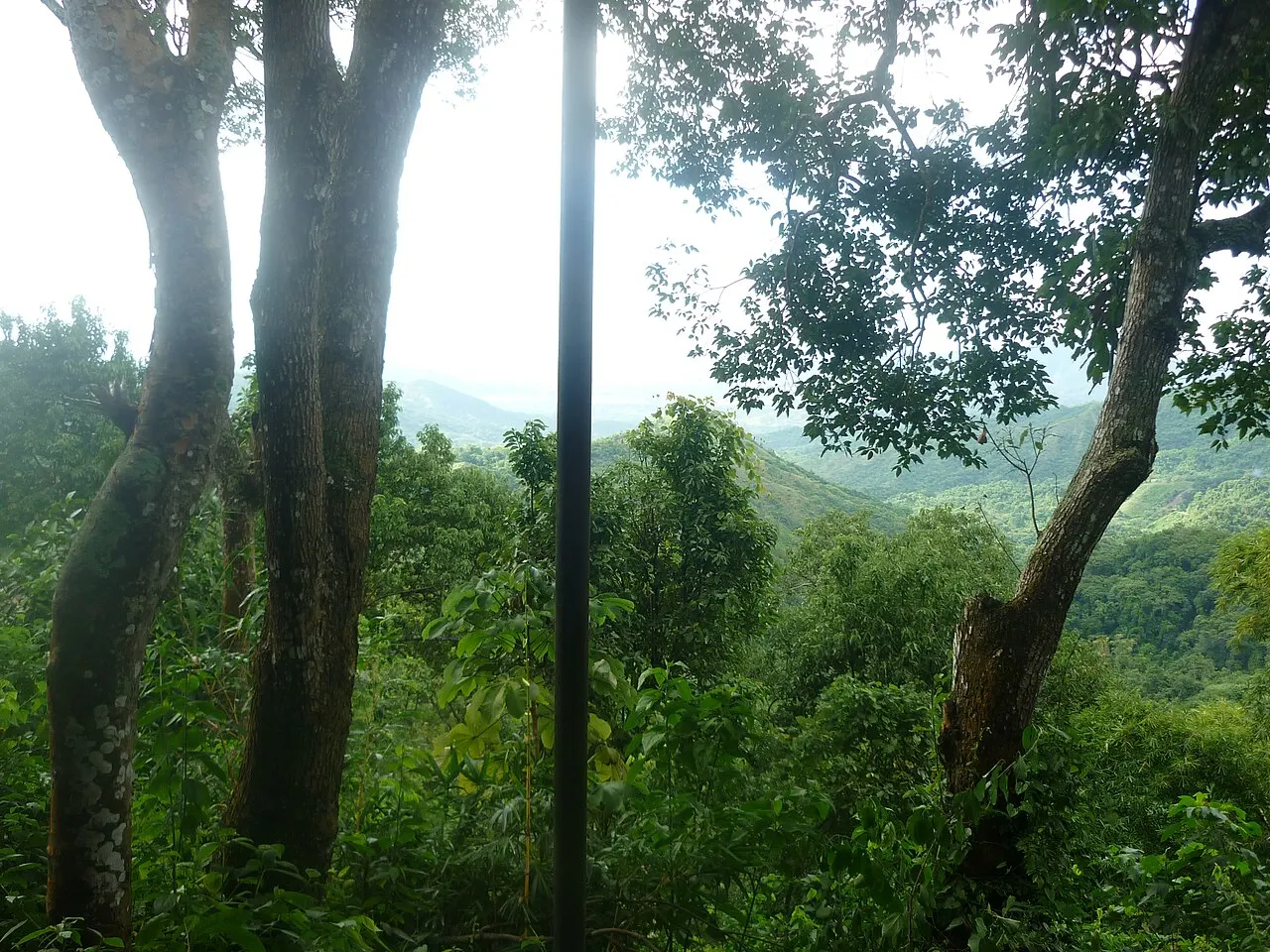 Minca, Santa Marta, Magdalena Department, Colombia