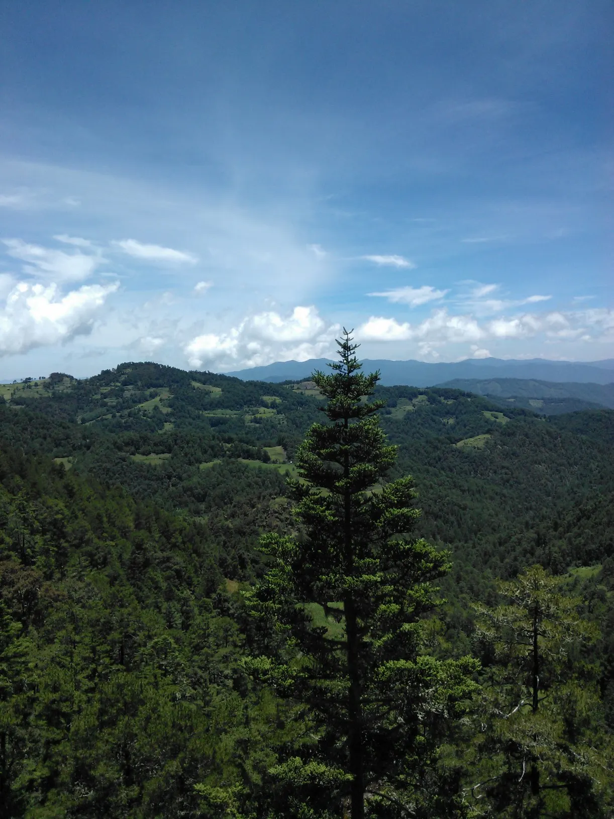 Cuajimoloyas, Sierra Norte, Oaxaca, Mexico