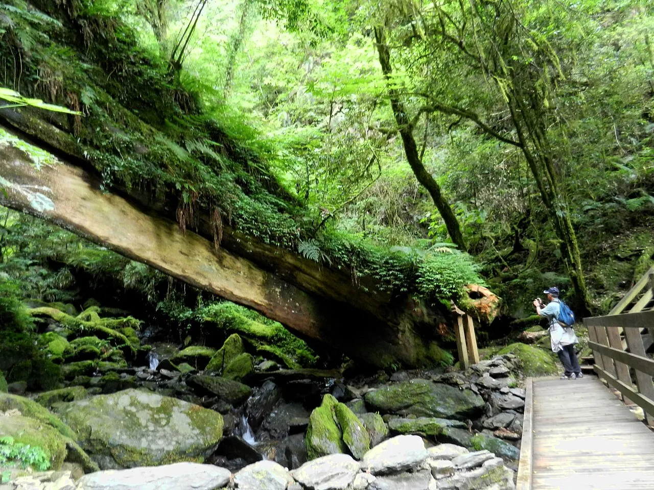 Lalashan, Taoyuan, Taiwan