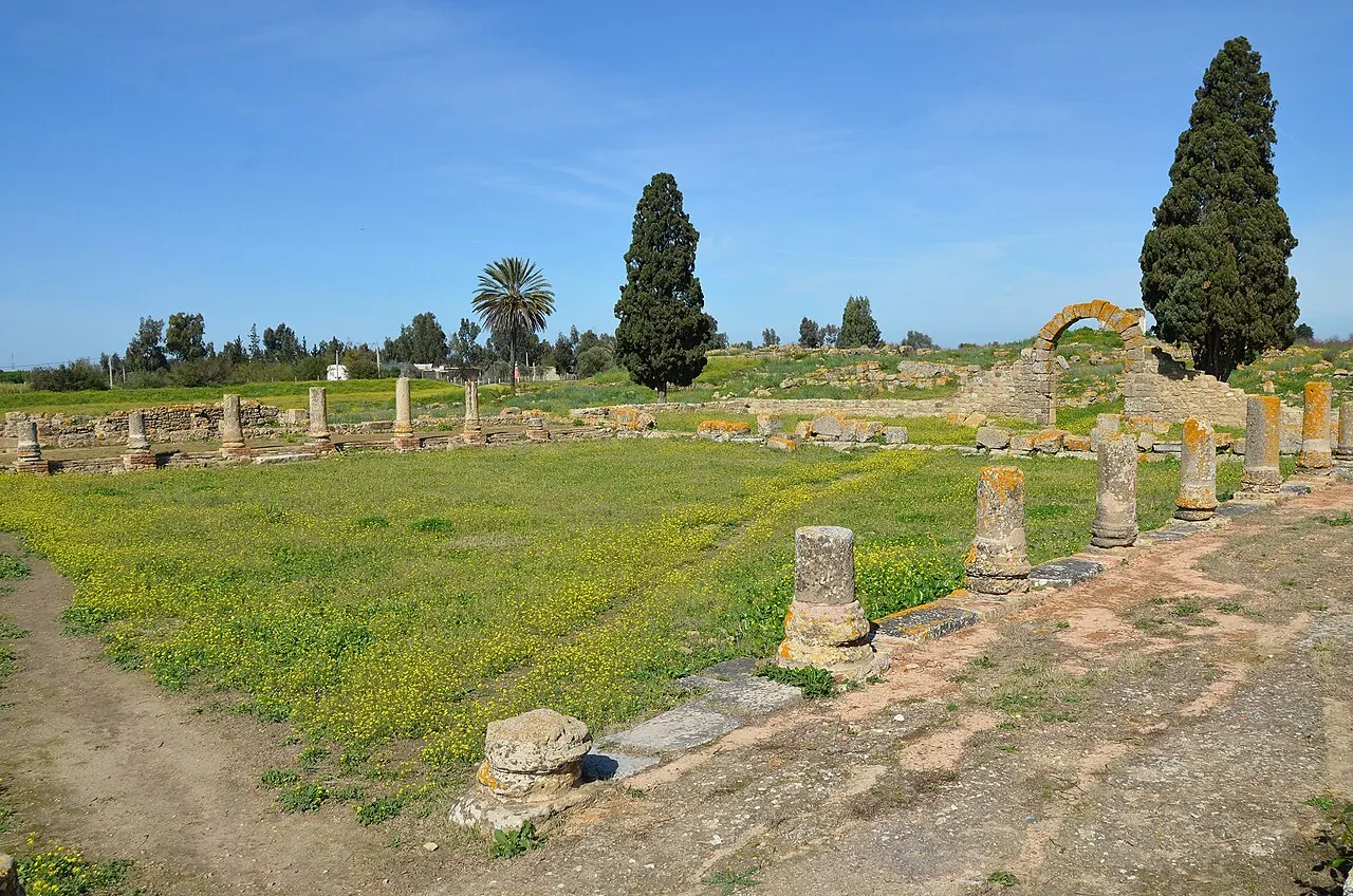 Banasa, Kenitra, Rabat-Salé-Kénitra, Morocco