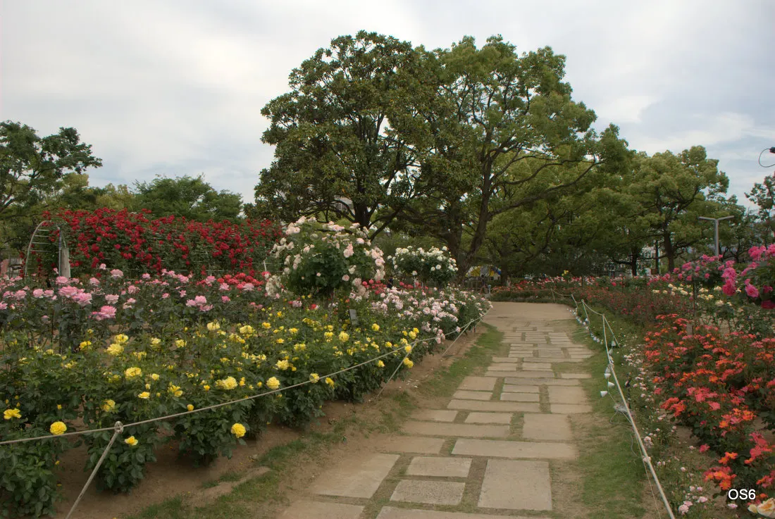 Fukuyama Rose Park, Fukuyama, Hiroshima, Japan