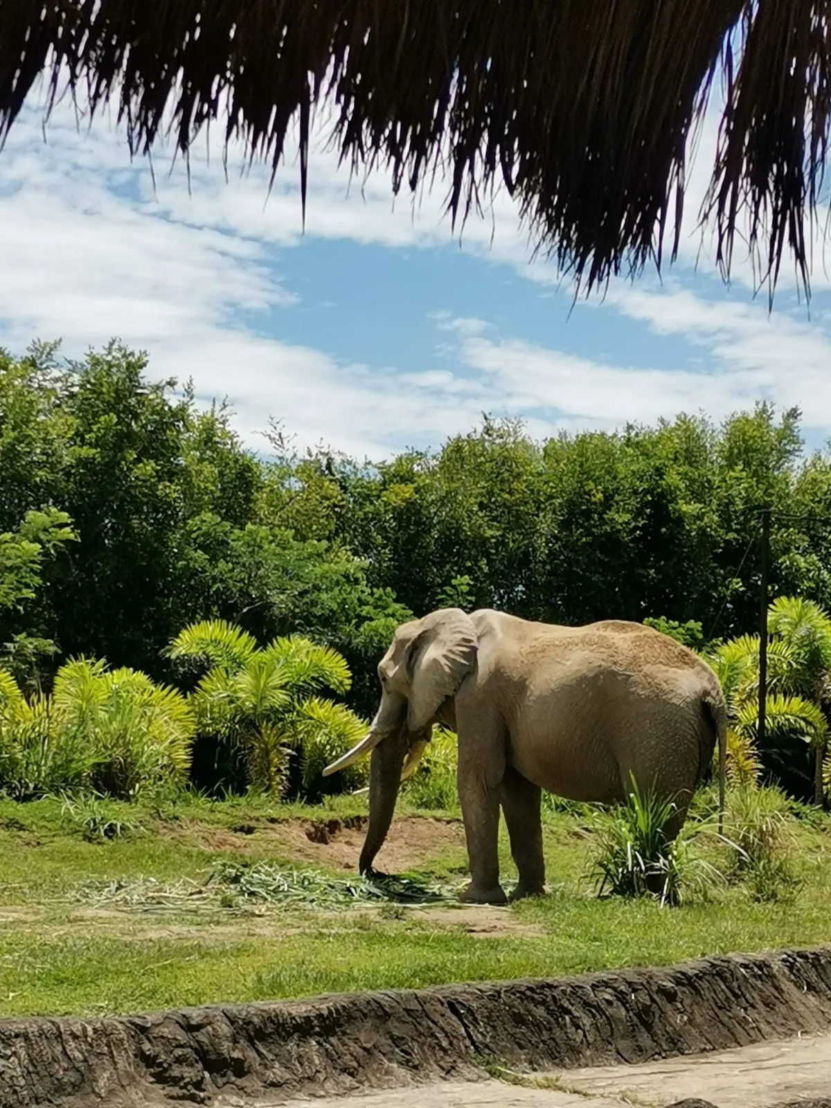 Bioparque Ukumarí, Pereira, Risaralda Department, Colombia