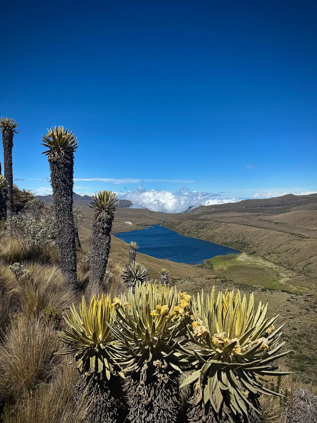 Laguna del Otún, Pereira, Risaralda Department, Colombia