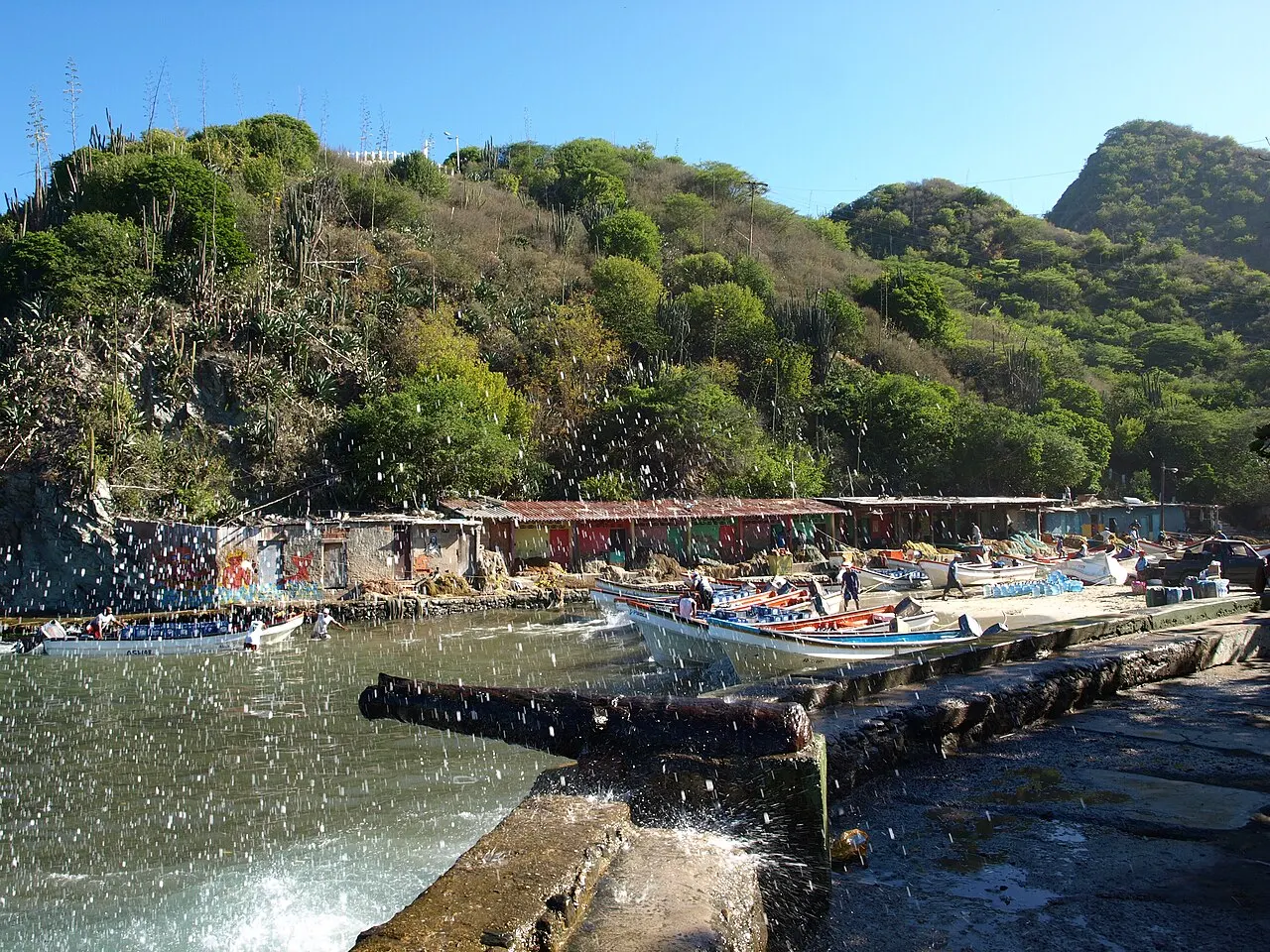 Choroní and Puerto Colombia, Maracay, Aragua, Venezuela