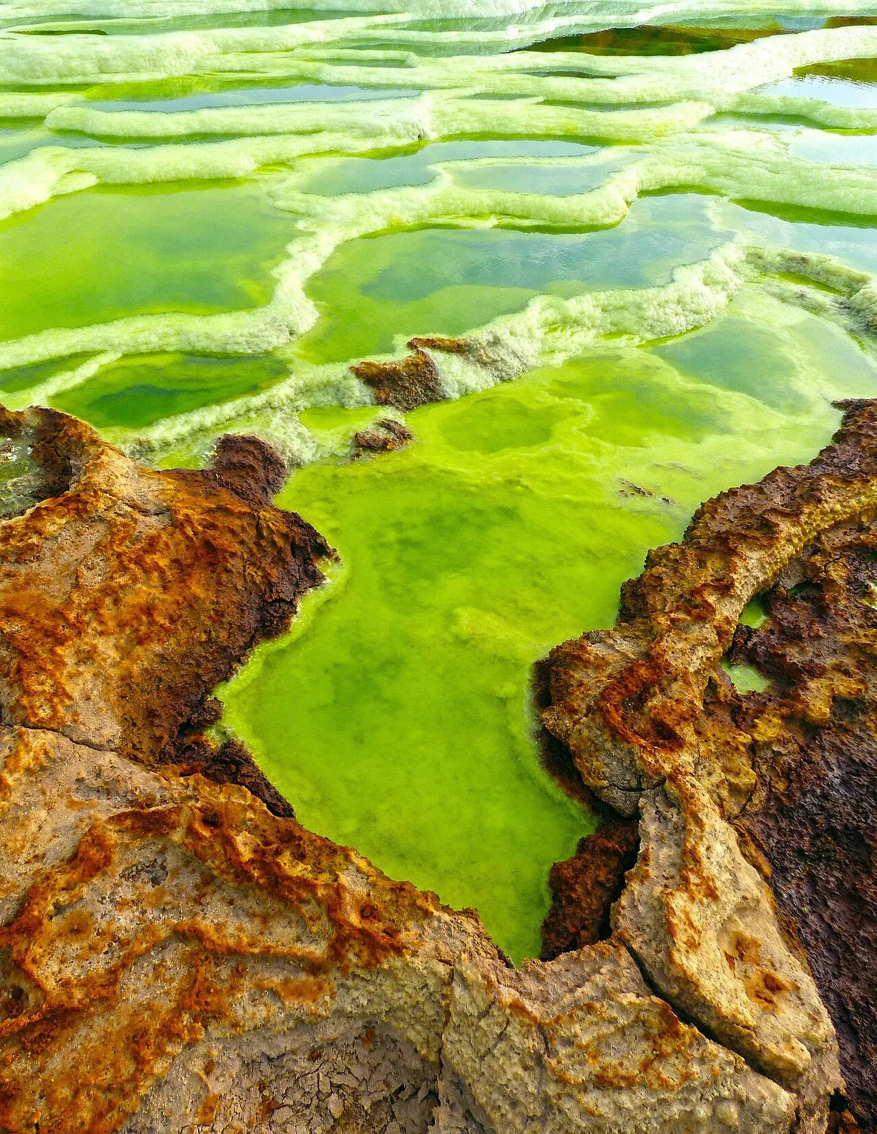 Danakil Depression, Mek'ele, Tigray, Ethiopia