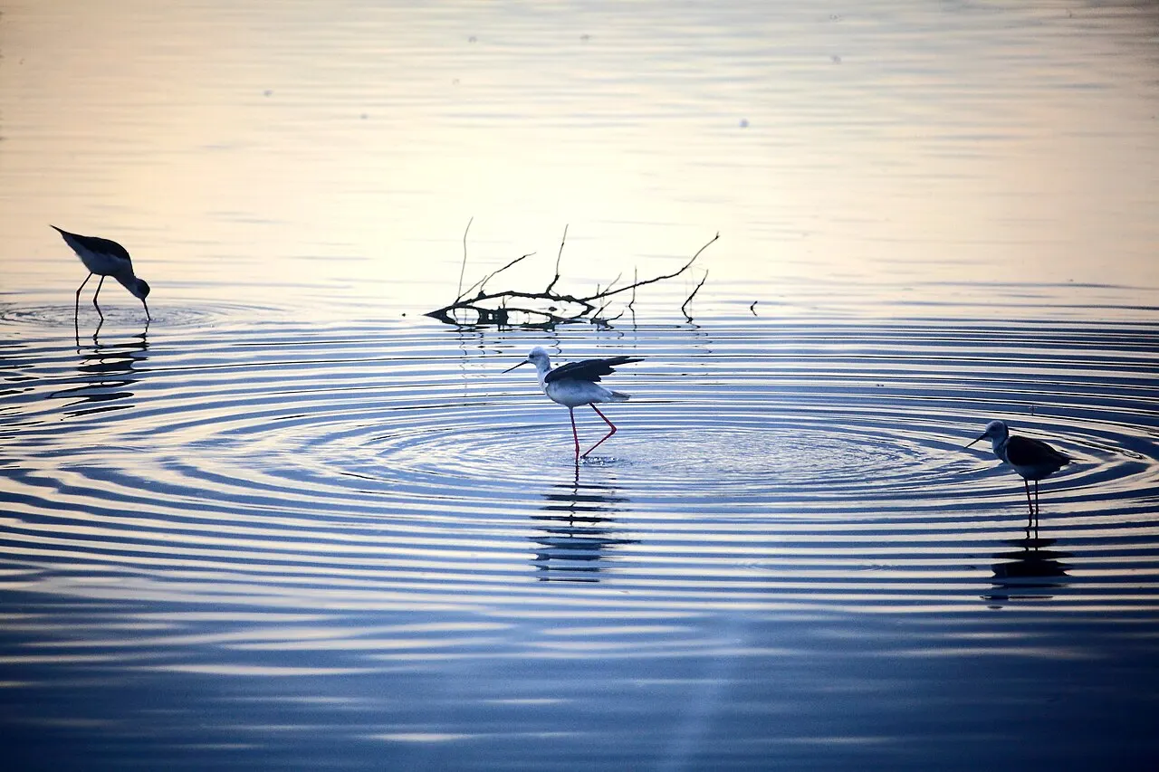 Xiangshan Wetland, Hsinchu, Taiwan