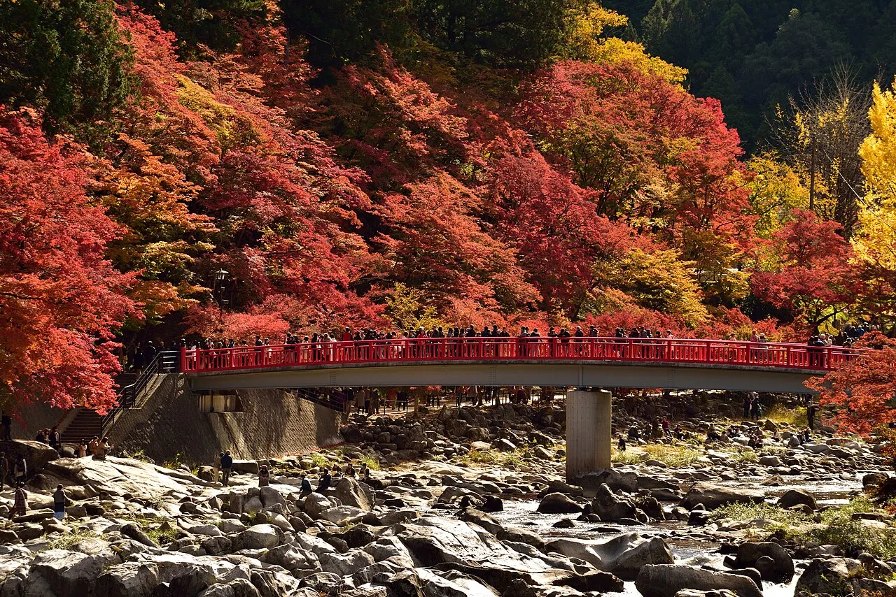 Taigetsu Bridge, Toyota, Aichi, Japan