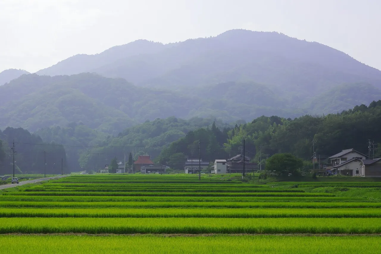 Mount Sanage, Toyota, Aichi, Japan