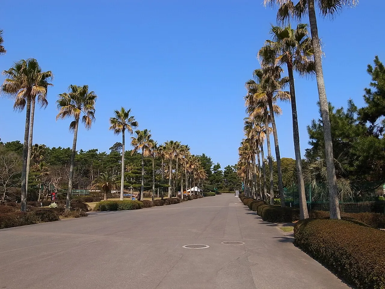Miyazaki City Phoenix Zoo, Miyazaki, Miyazaki, Japan