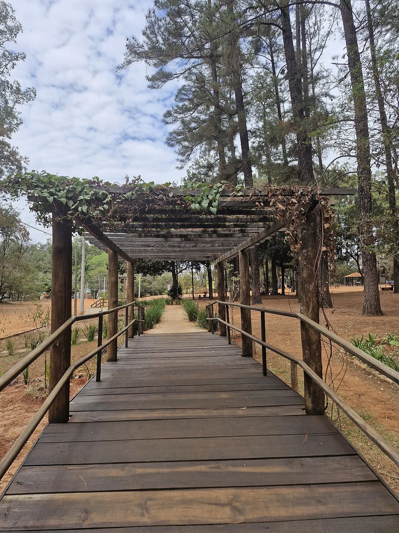 Horto Florestal de Bauru, Bauru, São Paulo, Brazil
