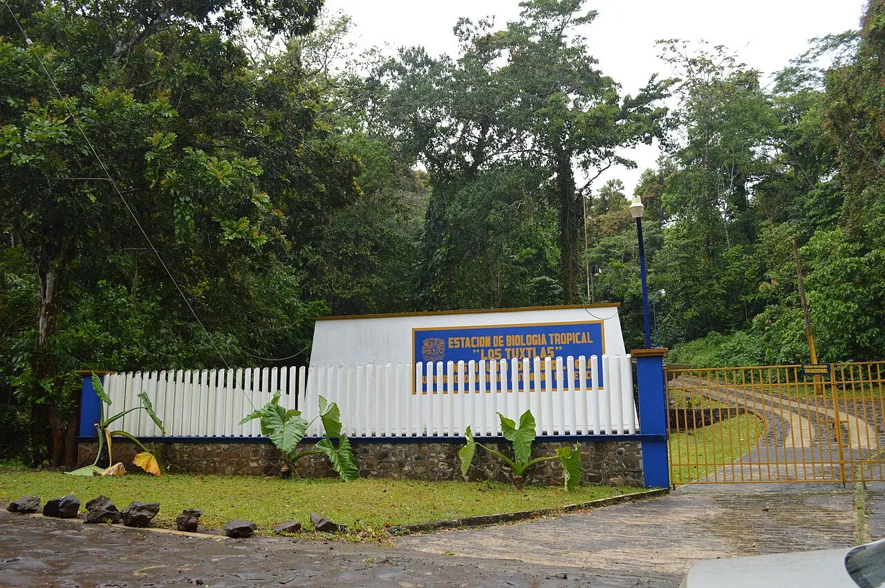 Los Tuxtlas Biosphere Reserve, Los Tuxtlas, Veracruz, Mexico