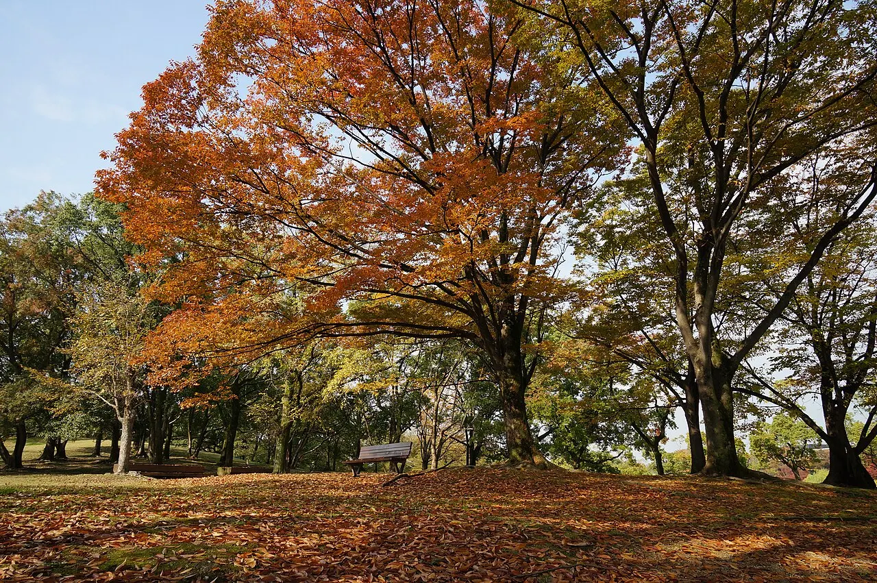 Expo '70 Commemorative Park, Suita, Osaka, Japan