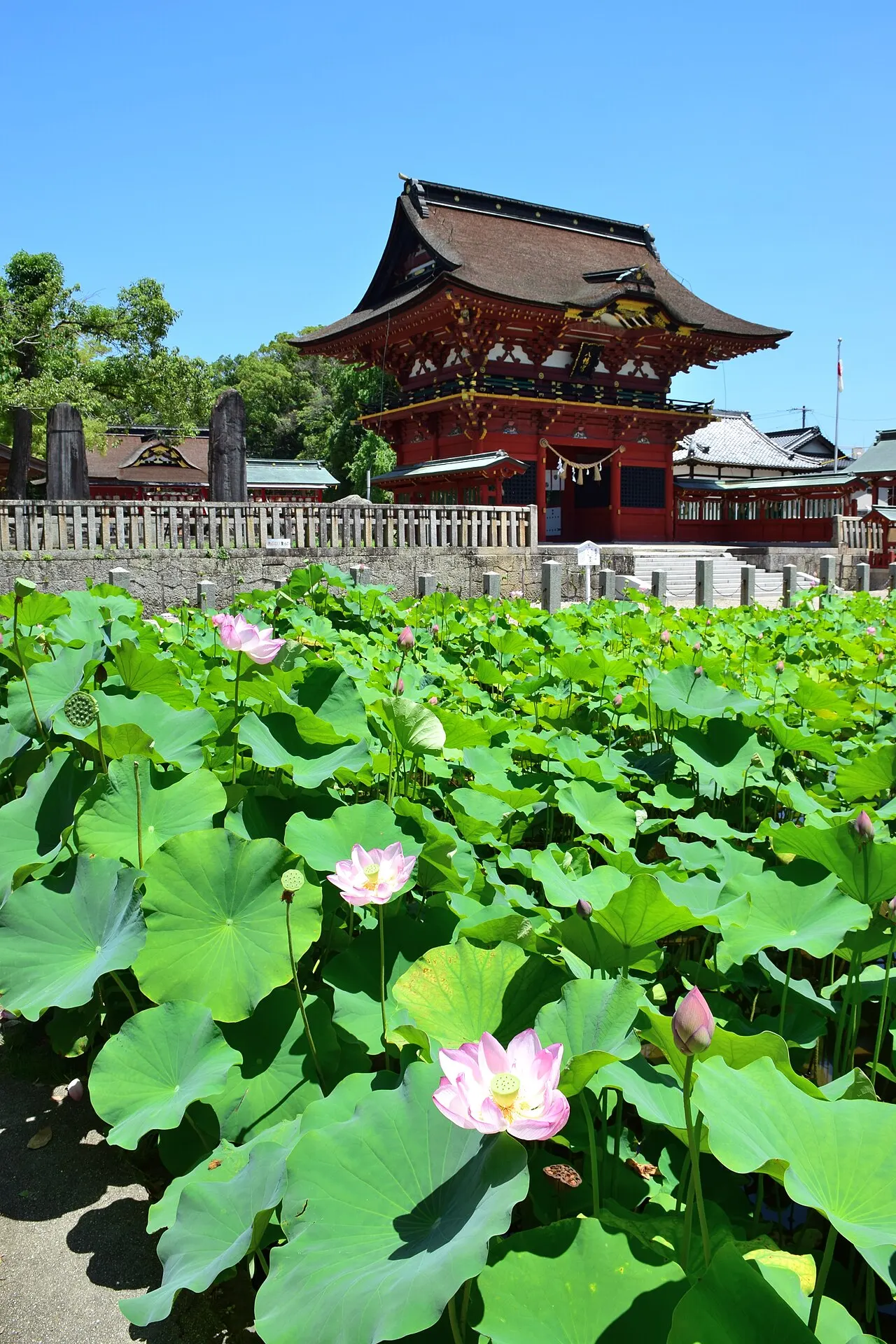 Iga Hachimangū, Okazaki, Aichi, Japan