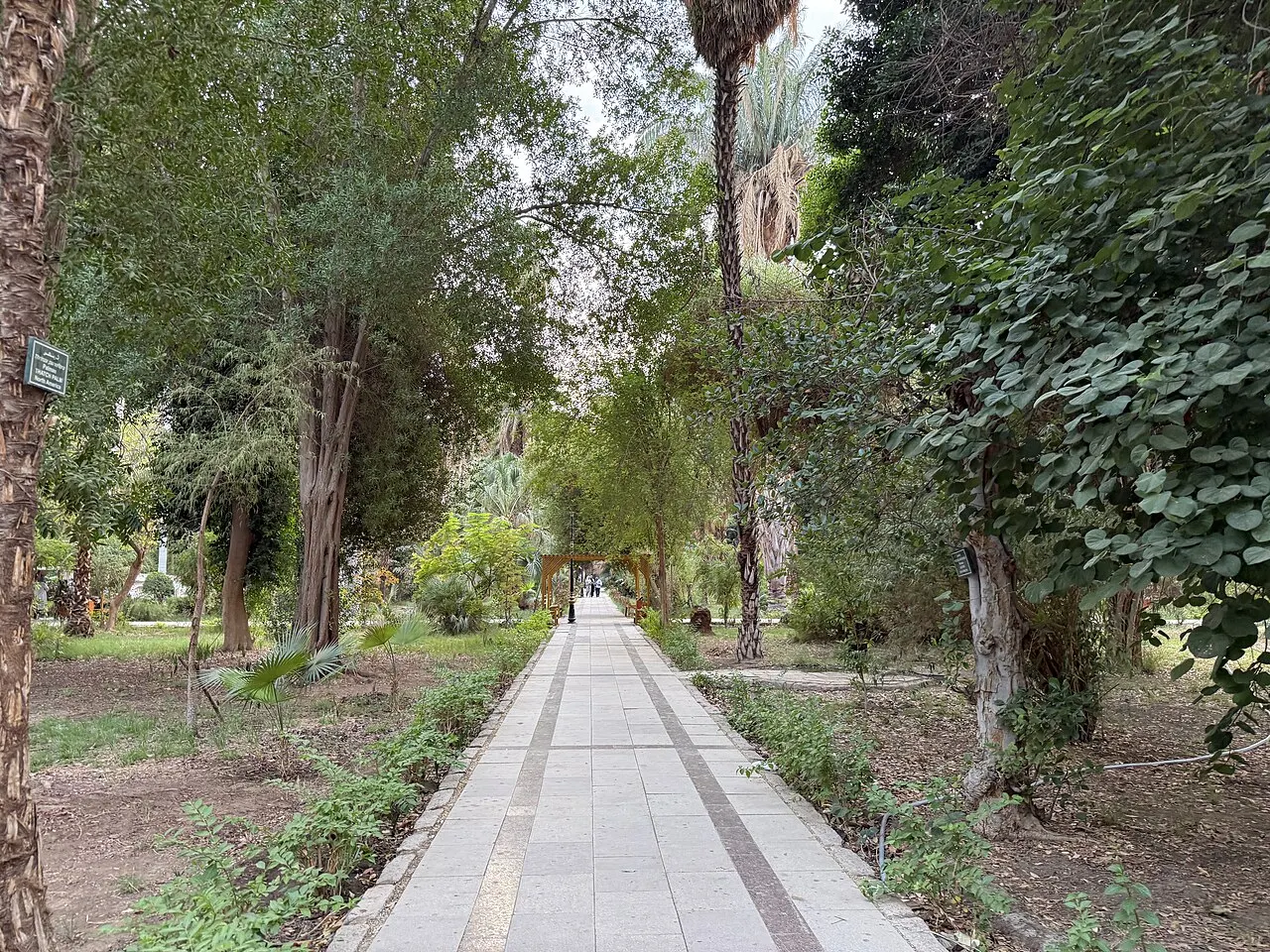 Aswan Botanical Garden, Aswan, Aswan, Egypt