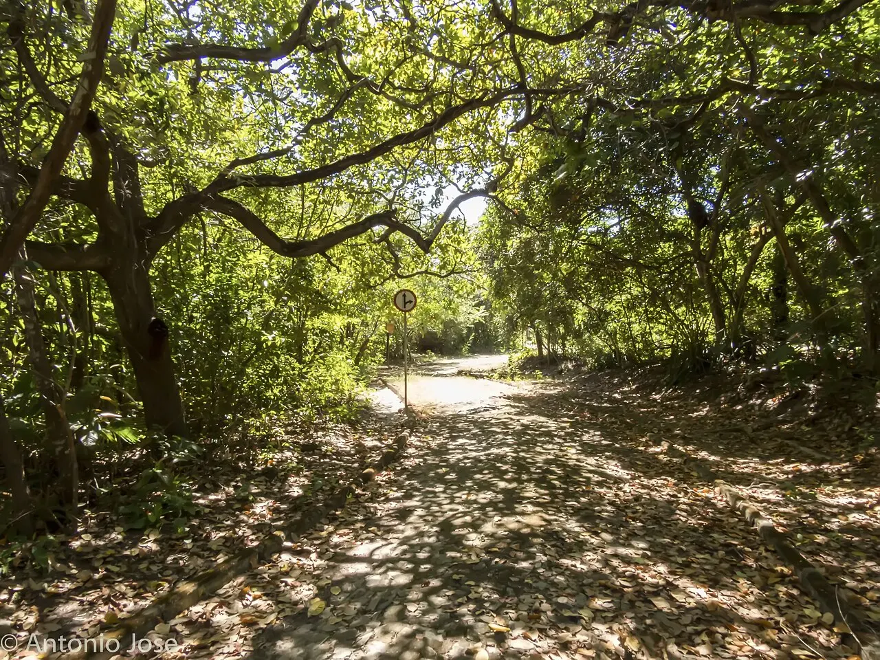 Parque Estadual Botânico do Ceará, Caucaia, Ceará, Brazil