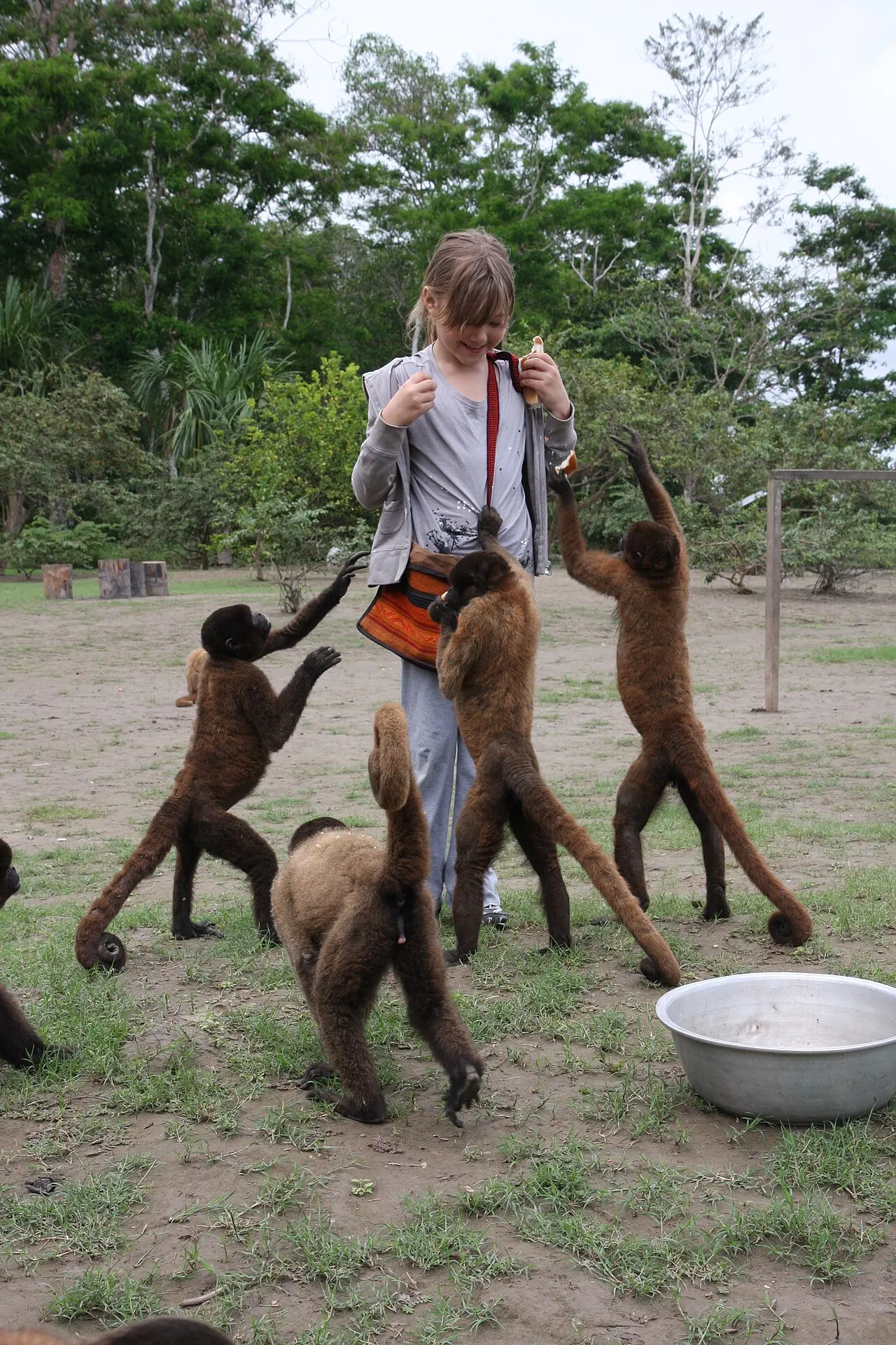 Isla de los Monos, Iquitos, Loreto, Peru