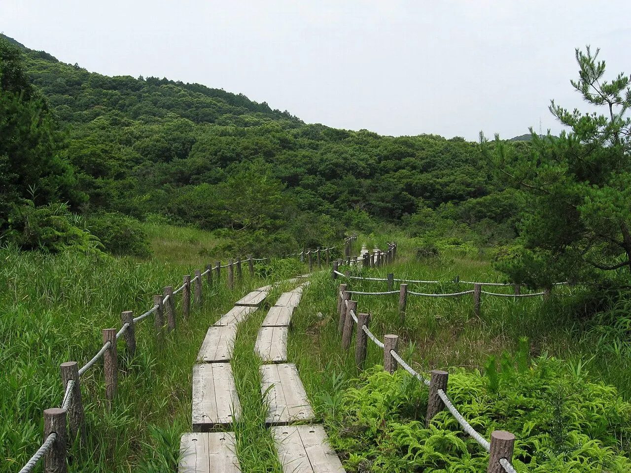 Imō Wetland, Toyohashi, Aichi, Japan