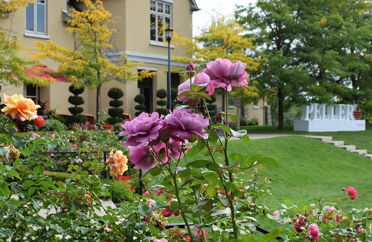 Peller Estates Winery, Niagara-on-the-Lake, Ontario, Canada