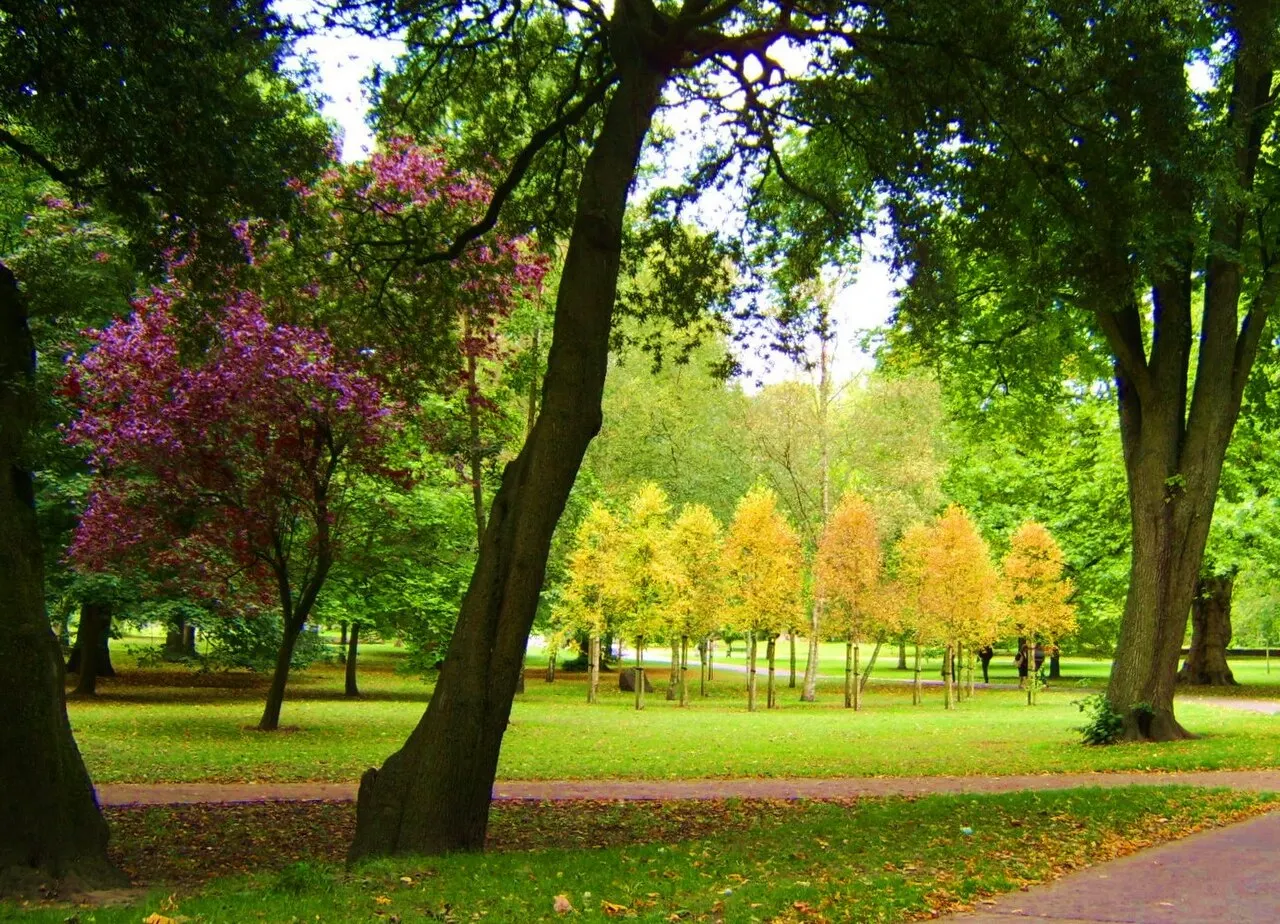 Bute Park, Cardiff, Wales, United Kingdom