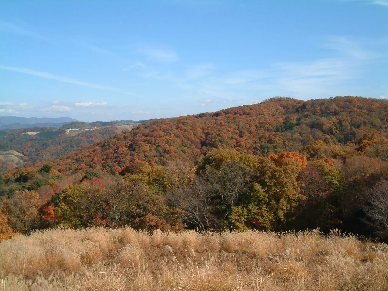 Mount Wakakusa, Nara, Nara, Japan