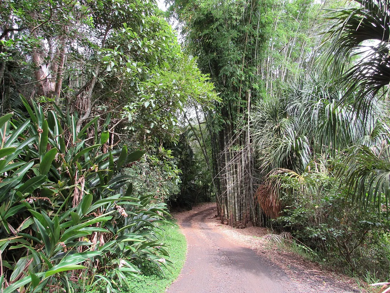 Jardim Zoobotânico de Franca, Franca, São Paulo, Brazil