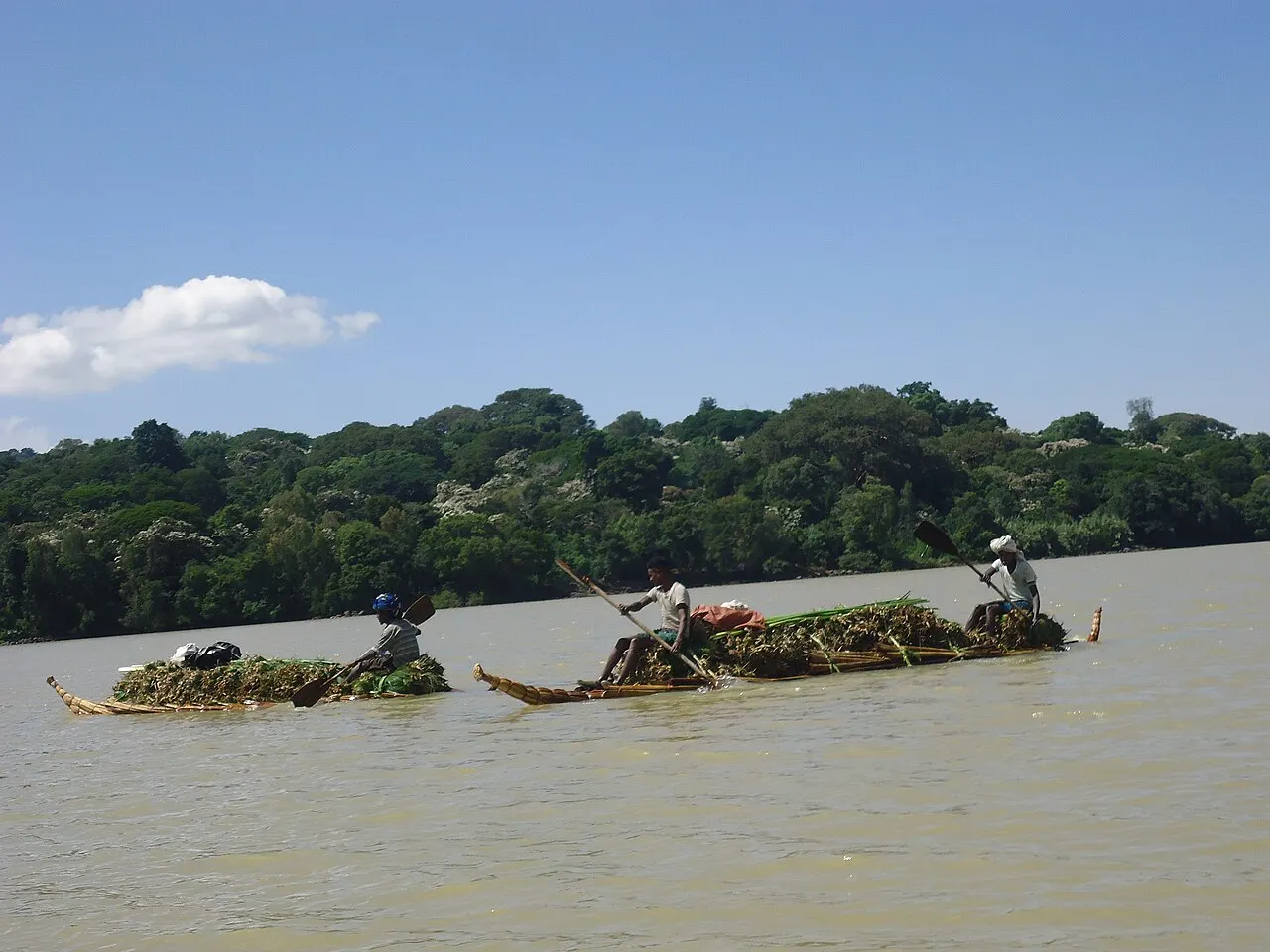 Lake Tana Biosphere Reserve, Bahir Dar, Amhara, Ethiopia