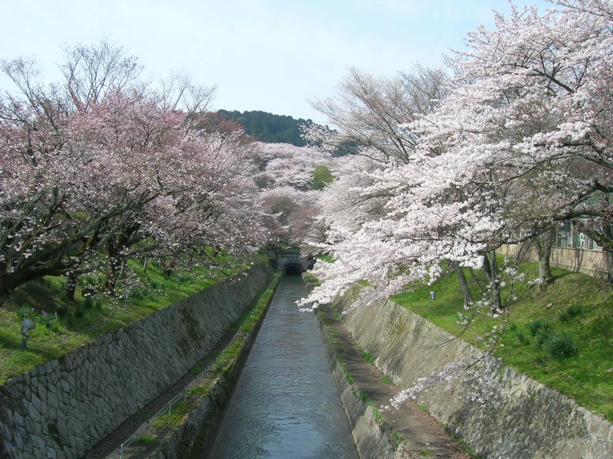 Lake Biwa Canal, Ōtsu, Shiga, Japan