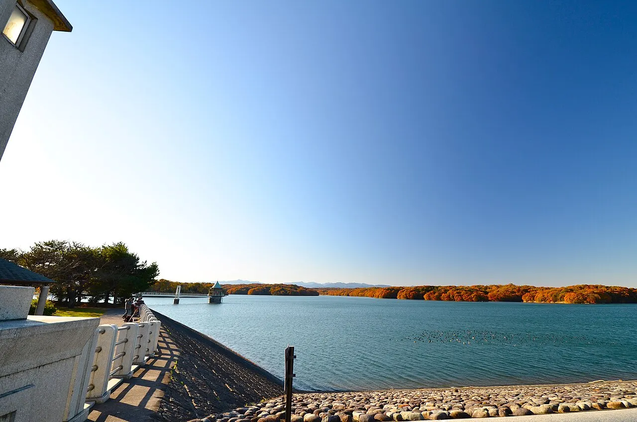 Lake Sayama, Tokorozawa, Saitama, Japan