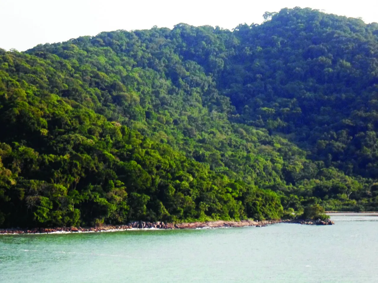 Parque Estadual Xixová-Japuí, São Vicente, São Paulo, Brazil