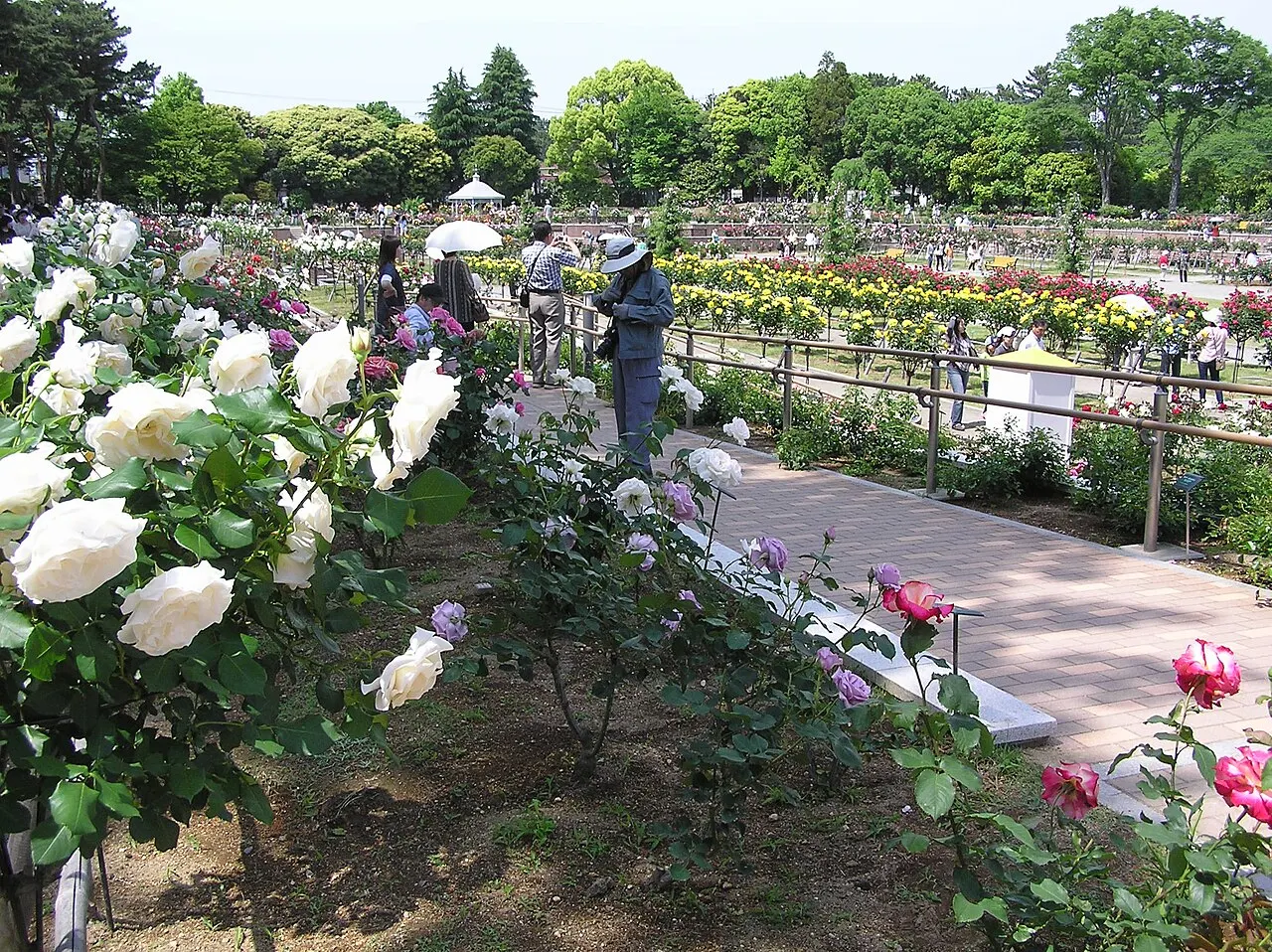 Shikishima Park, Maebashi, Gunma, Japan