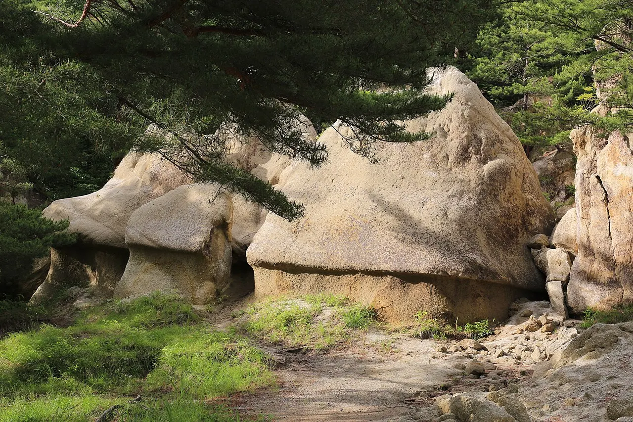 Jodomatsu Park, Kōriyama, Fukushima, Japan